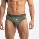 Brief